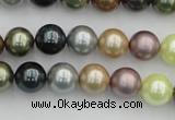 CSB339 15.5 inches 10mm round mixed color shell pearl beads