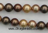 CSB342 15.5 inches 10mm round mixed color shell pearl beads