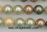 CSB359 15.5 inches 12mm round mixed color shell pearl beads