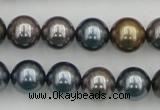 CSB366 15.5 inches 12mm round mixed color shell pearl beads