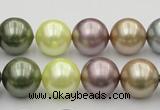 CSB381 15.5 inches 14mm round mixed color shell pearl beads