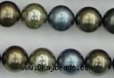 CSB384 15.5 inches 14mm round mixed color shell pearl beads