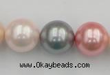 CSB391 15.5 inches 16mm round mixed color shell pearl beads