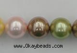 CSB393 15.5 inches 16mm round mixed color shell pearl beads