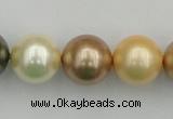 CSB394 15.5 inches 16mm round mixed color shell pearl beads