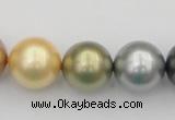 CSB395 15.5 inches 16mm round mixed color shell pearl beads