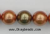 CSB397 15.5 inches 16mm round mixed color shell pearl beads