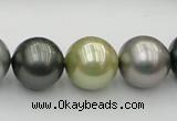 CSB398 15.5 inches 16mm round mixed color shell pearl beads