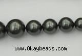 CSB403 15.5 inches 8mm - 16mm round shell pearl beads