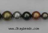 CSB410 15.5 inches 8mm - 16mm round mixed color shell pearl beads