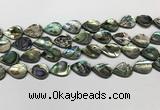 CSB4137 15.5 inches 12*16mm flat teardrop abalone shell beads