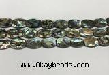 CSB4161 15.5 inches 12*16mm flat drum abalone shell beads wholesale