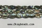 CSB4164 15.5 inches 18*25mm flat drum abalone shell beads wholesale