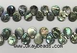 CSB4184 Top drilled 15*20mm flat teardrop balone shell beads