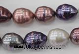 CSB553 15.5 inches 12*15mm whorl teardrop mixed color shell pearl beads