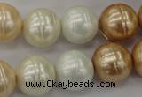 CSB636 15.5 inches 16mm whorl round mixed color shell pearl beads