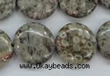 CSF01 15.5 inches 20mm flat round shell fossil jasper beads