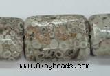 CSF10 15.5 inches 22*30mm rectangle shell fossil jasper beads