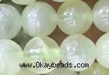 CSJ312 15.5 inches 7mm round serpentine new jade beads