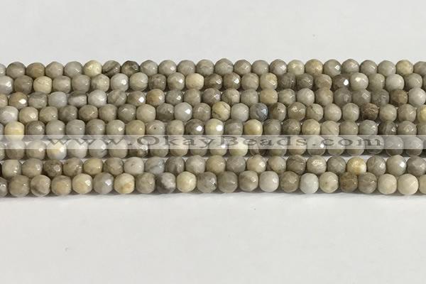 CSL156 15.5 inches 4mm faceted 

round sliver leaf jasper beads