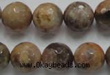 CSS100 15.5 inches 16mm faceted round natural sunstone beads wholesale