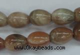 CSS248 15.5 inches 12*16mm teardrop natural sunstone beads