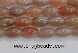 CSS265 15.5 inches 5*8mm rice sunstone beads wholesale