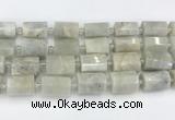 CTB876 13*25mm - 14*19mm faceted tube moonstone beads