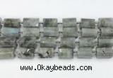 CTB878 13*25mm - 14*19mm faceted tube labradorite beads