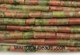 CTB984 15 inches 2*4mm tube unakite beads