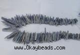 CTD1978 Top drilled 5*20mm – 8*45mm sticks blue Kyanite beads