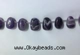 CTD2144 Top drilled 15*25mm - 18*25mm freeform dogtooth amethyst beads