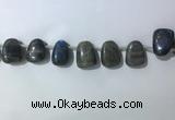 CTD2151 Top drilled 15*25mm - 18*25mm freeform labradorite beads