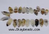 CTD2734 Top drilled 15*28mm - 18*45mm freeform montana agate beads