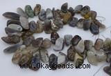 CTD3525 Top drilled 12*20mm - 15*40mm freeform botswana agate beads