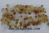 CTD840 Top drilled 10*20mm - 15*30mm nuggets citrine gemstone beads