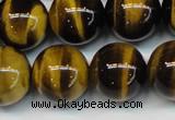 CTE1252 15.5 inches 10mm round AAA grade yellow tiger eye beads