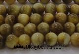 CTE1411 15.5 inches 6mm round golden tiger eye beads wholesale