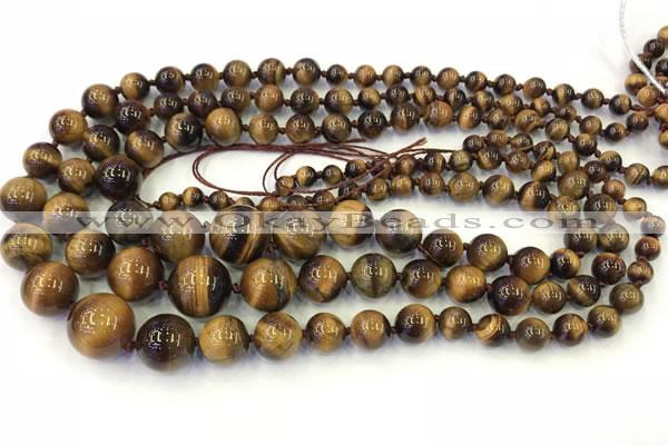 CTE2078 15.5 inches 6mm - 16mm round yellow tiger eye graduated beads