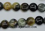 CTE560 15.5 inches 10mm flat round golden & blue tiger eye beads