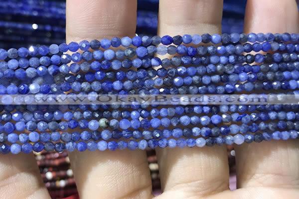 CTG1070 15.5 inches 2mm faceted round tiny sodalite beads