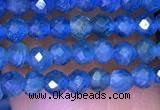 CTG1195 15.5 inches 3mm faceted round tiny apatite gemstone beads