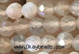 CTG1207 15.5 inches 4mm faceted round tiny rainbow moonstone beads