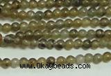 CTG133 15.5 inches 3mm round tiny labradorite gemstone beads wholesale