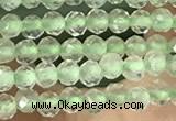 CTG1346 15.5 inches 2mm faceted round prehnite beads wholesale