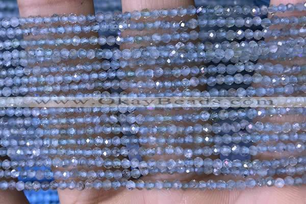 CTG1416 15.5 inches 2mm faceted round apatite beads wholesale