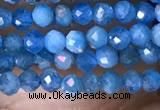 CTG1418 15.5 inches 2mm faceted round apatite beads wholesale