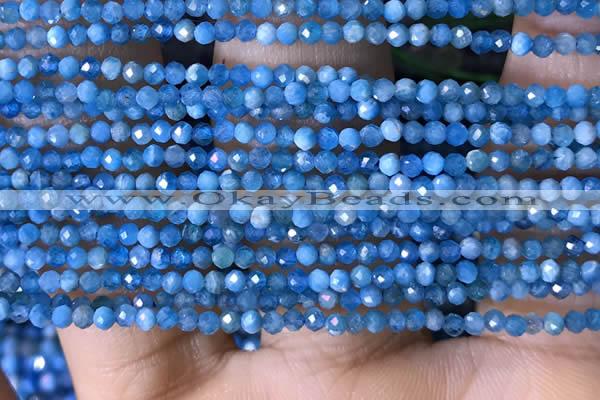 CTG1418 15.5 inches 2mm faceted round apatite beads wholesale