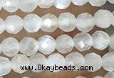 CTG1480 15.5 inches 3mm faceted round white moonstone beads