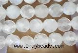 CTG1481 15.5 inches 3mm faceted round white moonstone beads